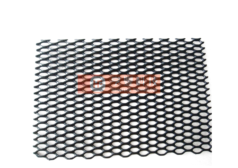 PE Coated Wire Mesh